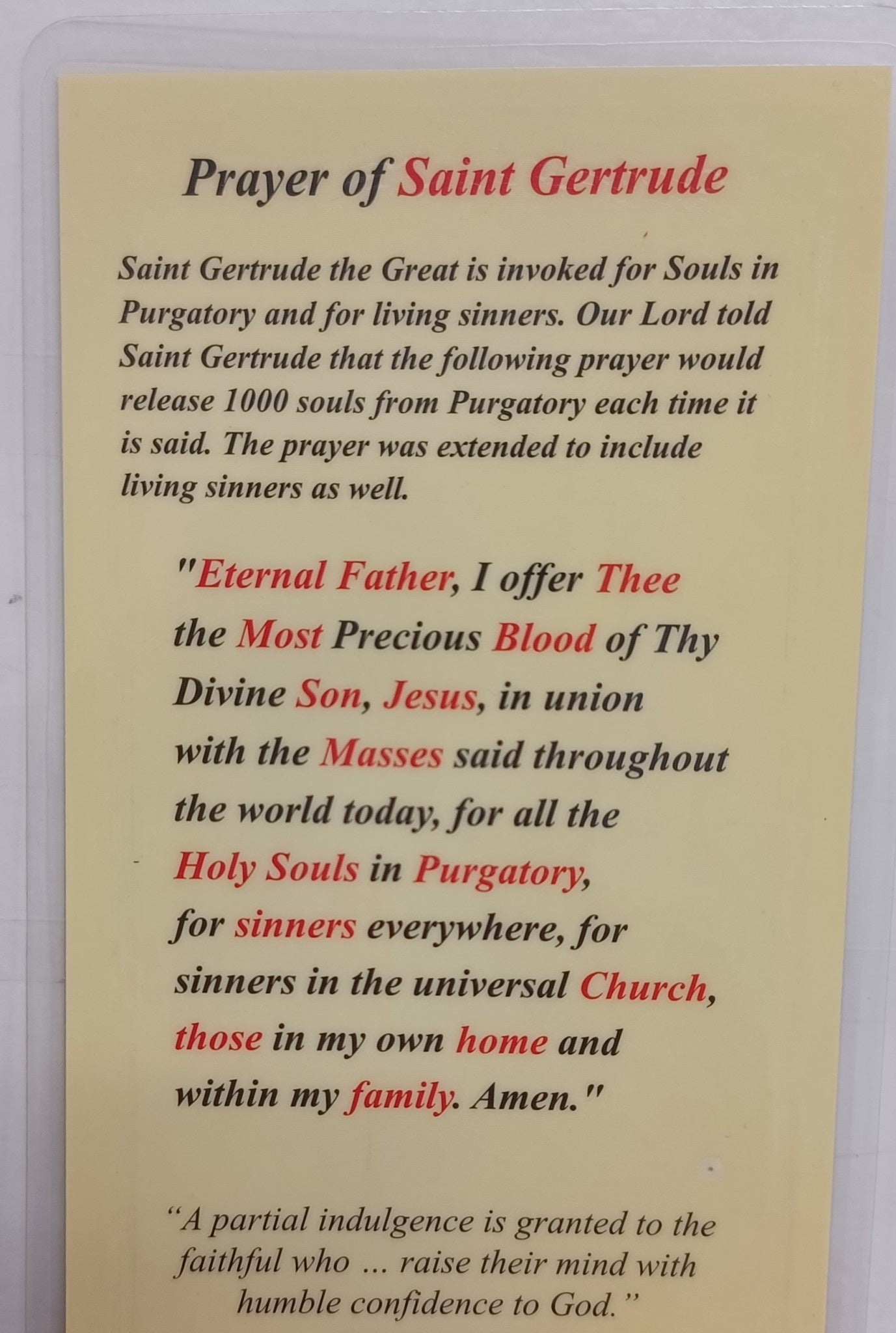 St. Gertrude Laminated Prayer Card