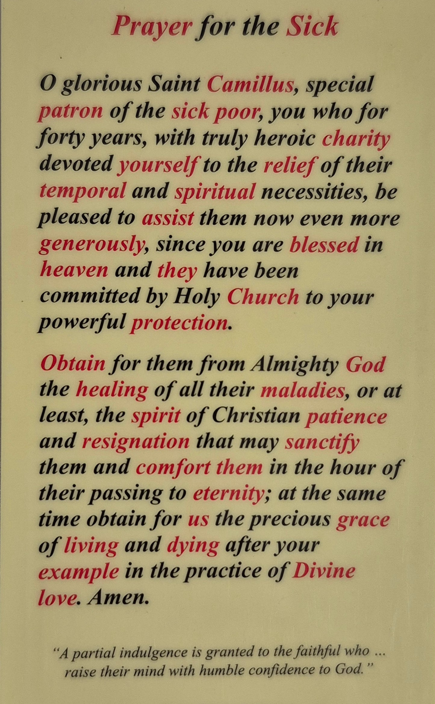 Prayer for the Sick Laminated Card