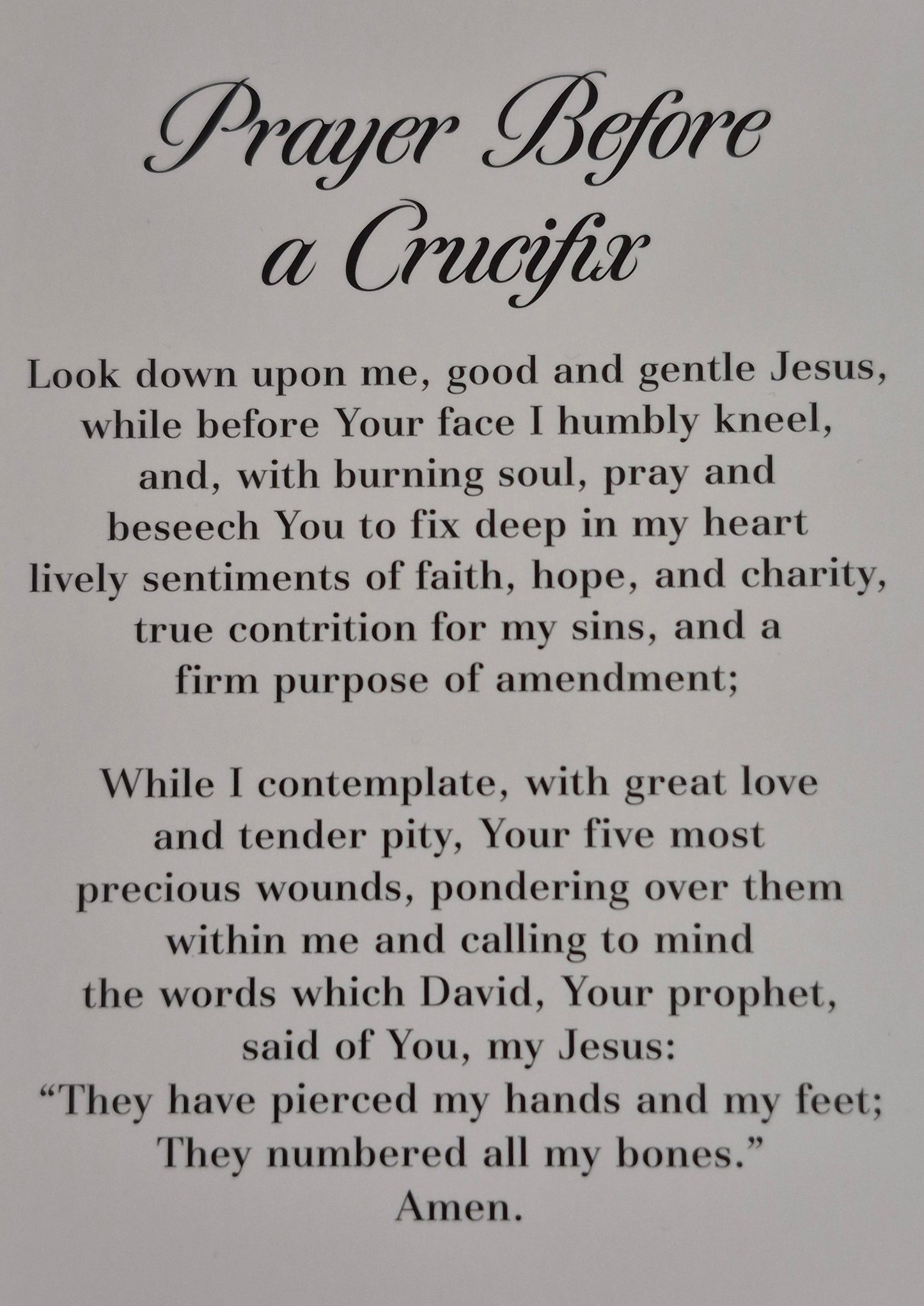 Prayer Before a Crucifix Greeting Card