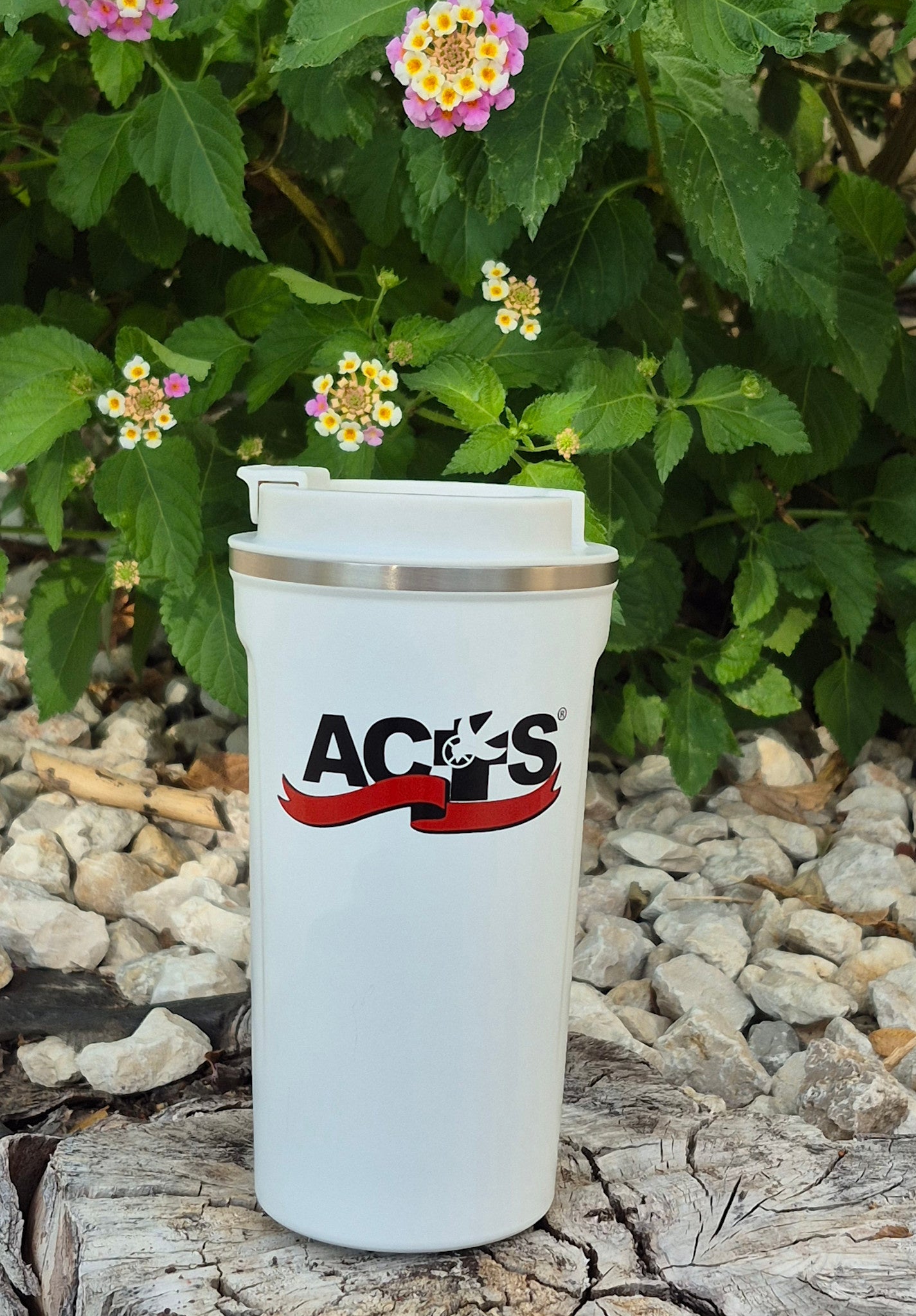 Collections – ACTS Store