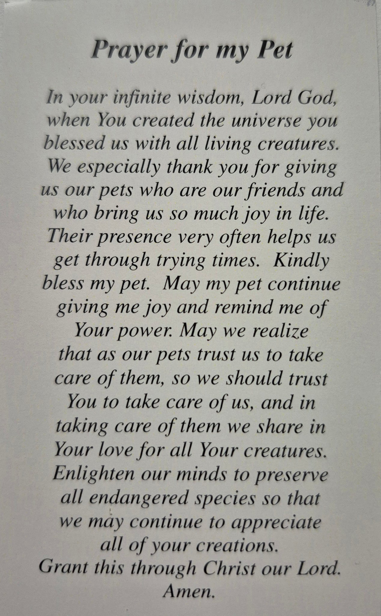 Prayer for my Pet