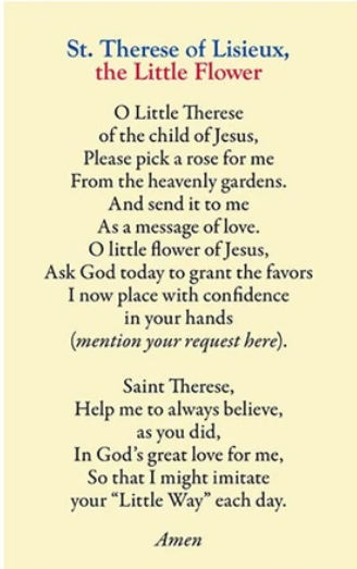 St Therese of Lisieux, the Little Flower Laminated Card