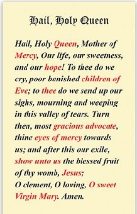 Hail Holy Queen Laminated Card
