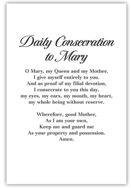 Daily Consecration to Mary Greeting Card